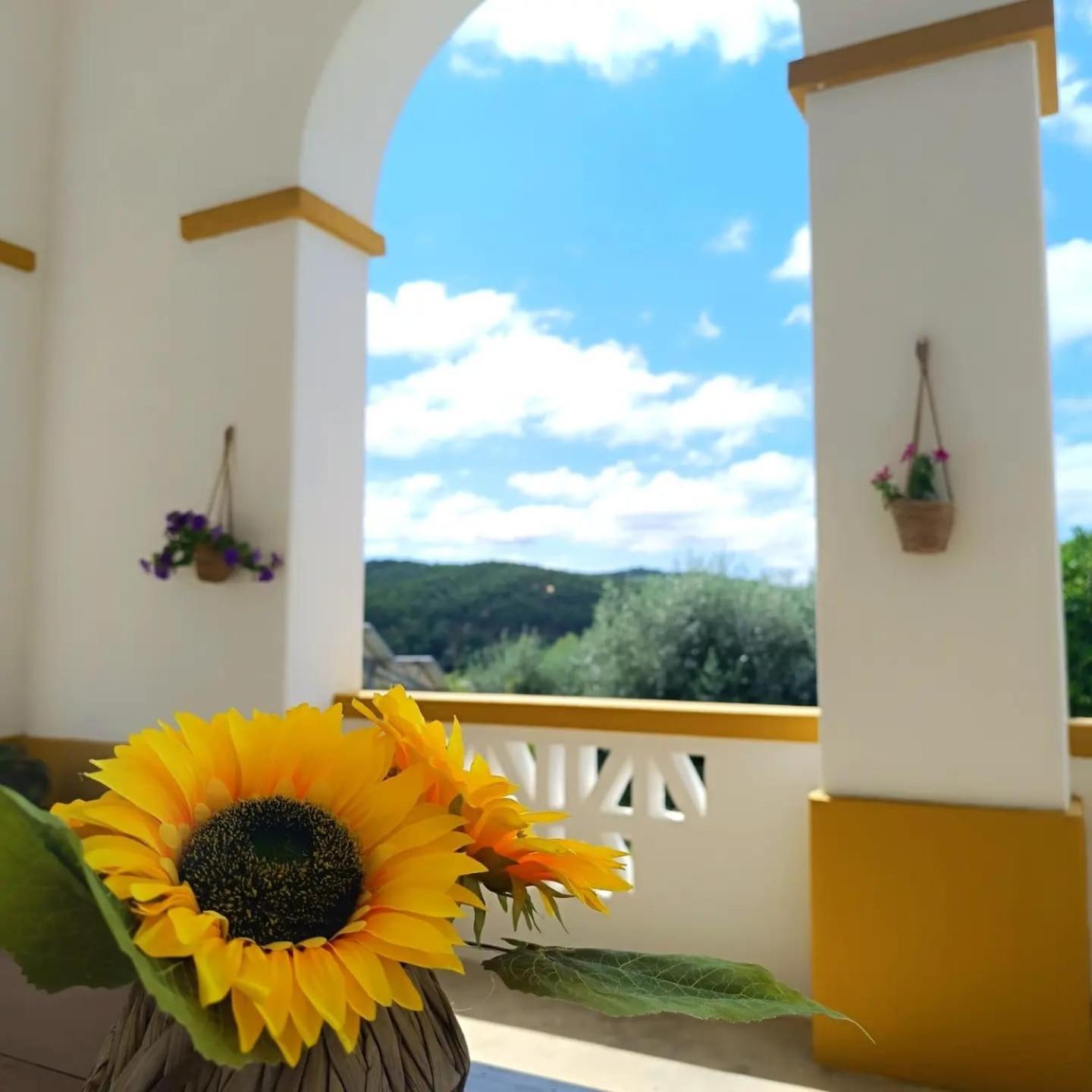Casa Da Praia Do Ribatejo Екстериор снимка